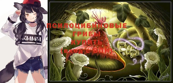 трава Гатчина